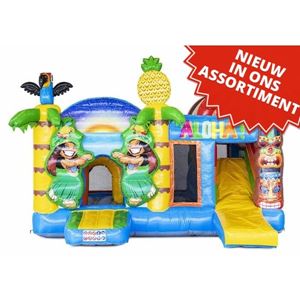 Springkussen Multiplay Hawaii Springkussen Multiplay Hawaii